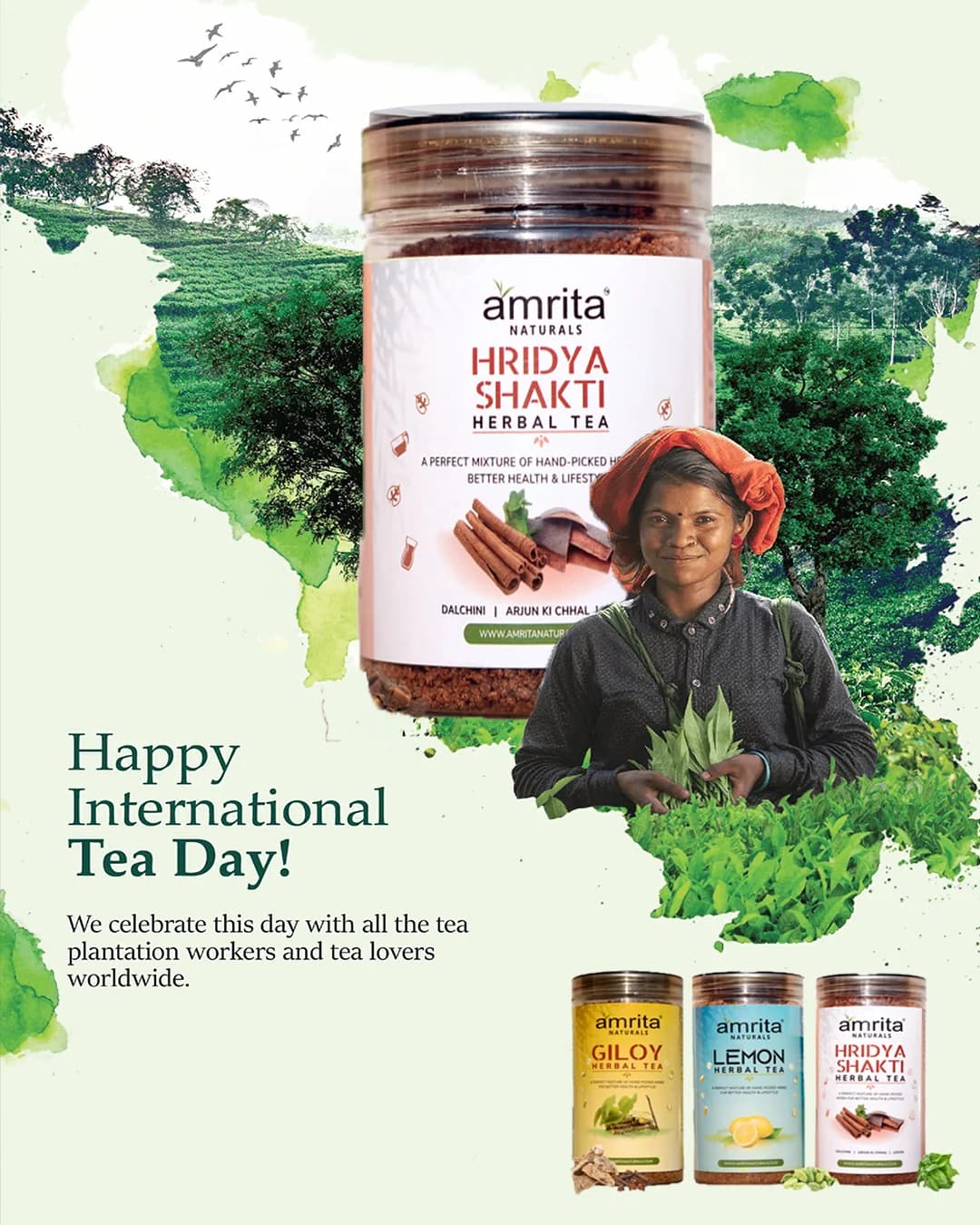 Amrita Naturals Tea & Wellness: Production Detail 4